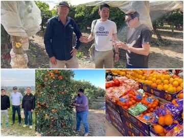 水浅青果株式会社【営業】-2