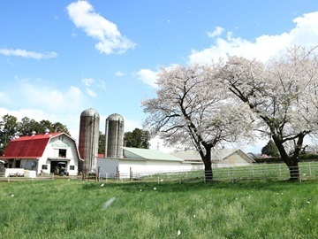 有限会社北アルプス牧場-1