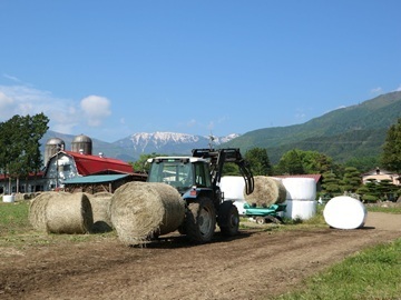 有限会社北アルプス牧場-5