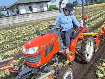 栃木県高根沢町×露地野菜/個人【42343】-2