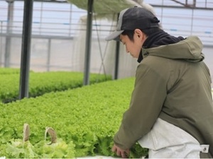 グリーンファクトリーコヅカ-top