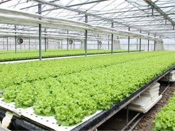 グリーンファクトリーコヅカ-1