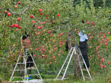 葛西農園(弘前市)-top