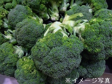 宮城県仙台市×露地野菜/法人【42627】-1