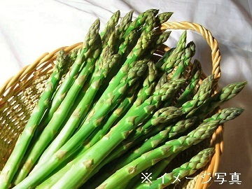 宮城県仙台市×露地野菜/法人【42627】-2