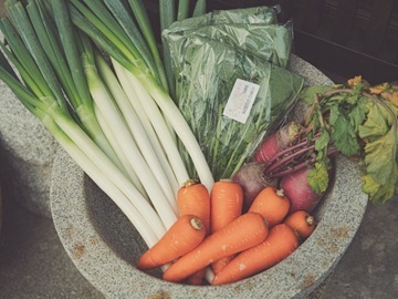 株式会社うつべ農園-5