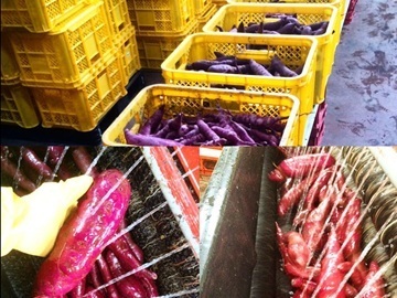 戸塚酒造株式会社-5