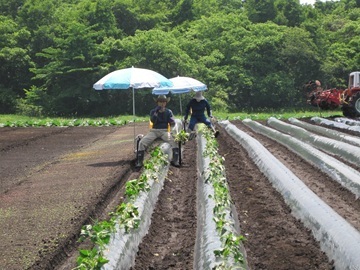 戸塚酒造株式会社-6