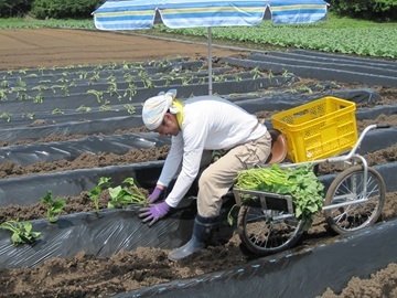 戸塚酒造株式会社-7