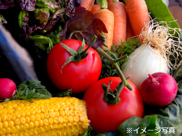 株式会社遠鉄ストア【静岡県・愛知県:店舗運営(青果部門)】-1