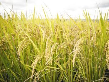 樽蔵産業株式会社-3