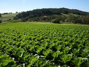 令和8年度 営農実践農場 利用者募集-1