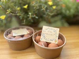 自然卵農場 森の農楽舎-top