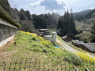 自然卵農場 森の農楽舎-1