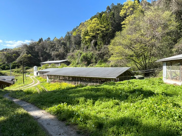 自然卵農場 森の農楽舎-6