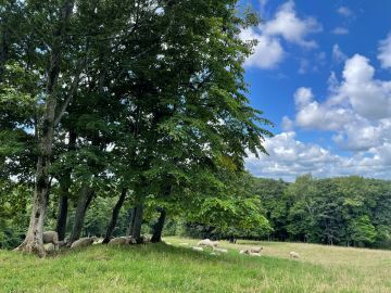 GOOD GOOD株式会社-6