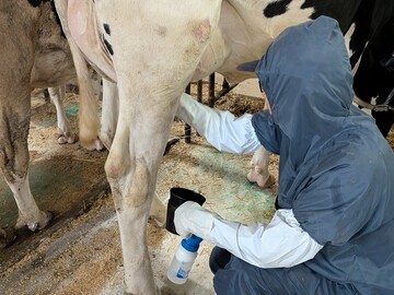 有限会社北アルプス牧場-8