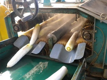 千葉県佐倉市×営業/法人【42641】-1