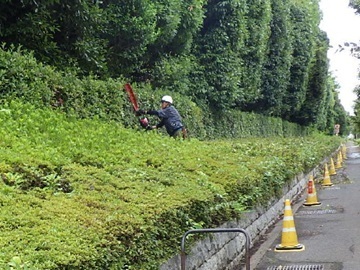 株式会社昭栄-3