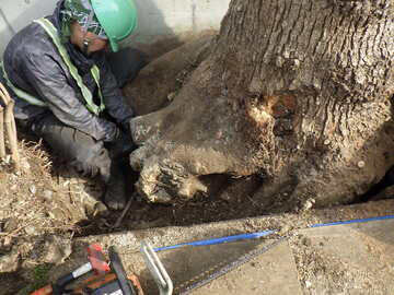 有限会社小美濃造園-2