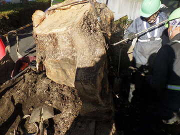 有限会社小美濃造園-5