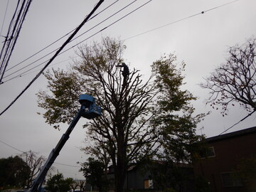 有限会社小美濃造園-6