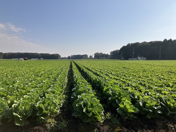 グリーンフィールドファーム株式会社-top