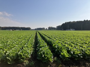 グリーンフィールドファーム株式会社-top