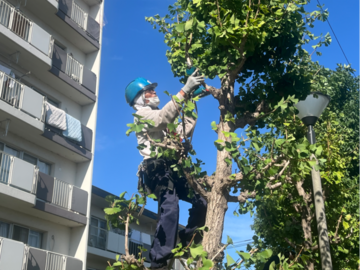 株式会社ソーゴーマテリアル-top