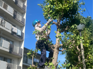 株式会社ソーゴーマテリアル-top