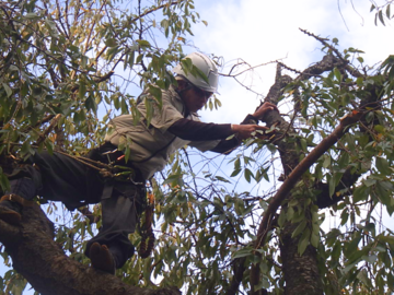 株式会社ソーゴーマテリアル-6
