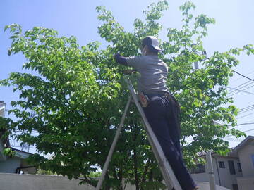 株式会社四季庭-2