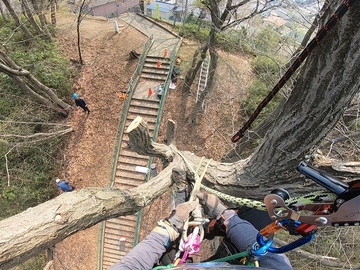 株式会社四季庭-8