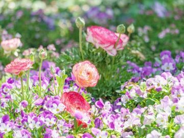 株式会社ヤマシタフラワーズ-top