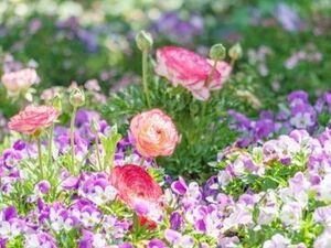 株式会社ヤマシタフラワーズ-top