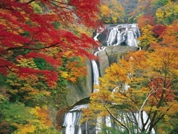 株式会社黒田りんご園-8