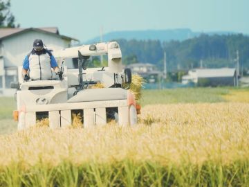 面川農場株式会社-2