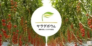 サラダボウルグループ