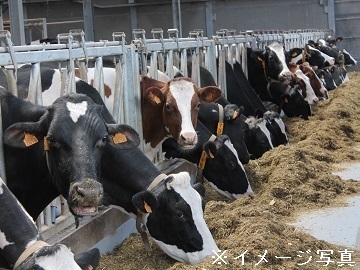 埼玉糧穀株式会社【埼玉県:飼料営業】-2