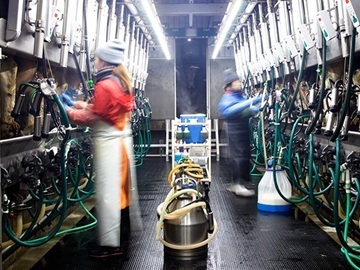 有限会社鹿追町デーリィーサービスカンパニィ-8