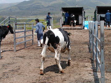 とうや湖酪農ヘルパー利用組合-3