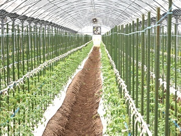 株式会社丸徳-5