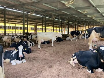 福島県浪江町　地域おこし協力隊募集-5