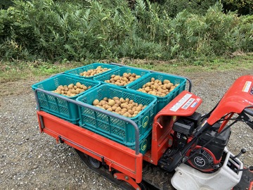 ジャパンフルーツ株式会社-3