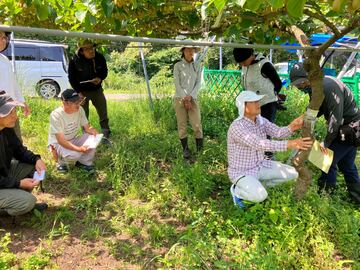 ジャパンフルーツ株式会社-4