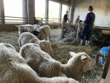 GOOD GOOD株式会社-1