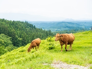 GOOD GOOD株式会社-2