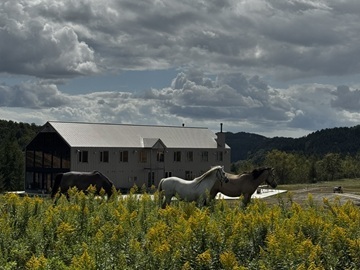 GOOD GOOD株式会社-4