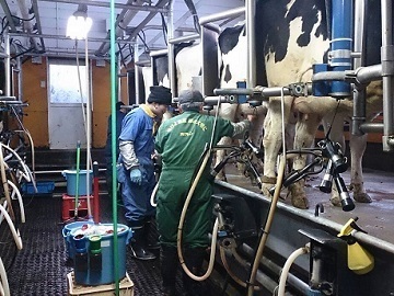 北海道士幌町×酪農/法人【4742】-2