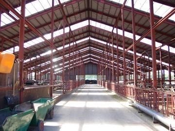 北海道士幌町×酪農/法人【4742】-4